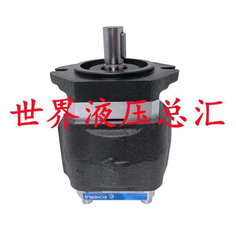 ECKERLE艾可勒EIPH2-025RK03-11/-022RK03-10注塑机伺服齿轮泵