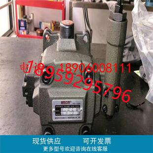 50S叶片泵 ANSON台湾安颂 VP6F