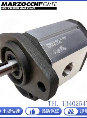 马祖奇齿轮泵GHP2A-D-20-FG液压油泵GPH1A/GHP2A-D- 6/9/10/12-FG