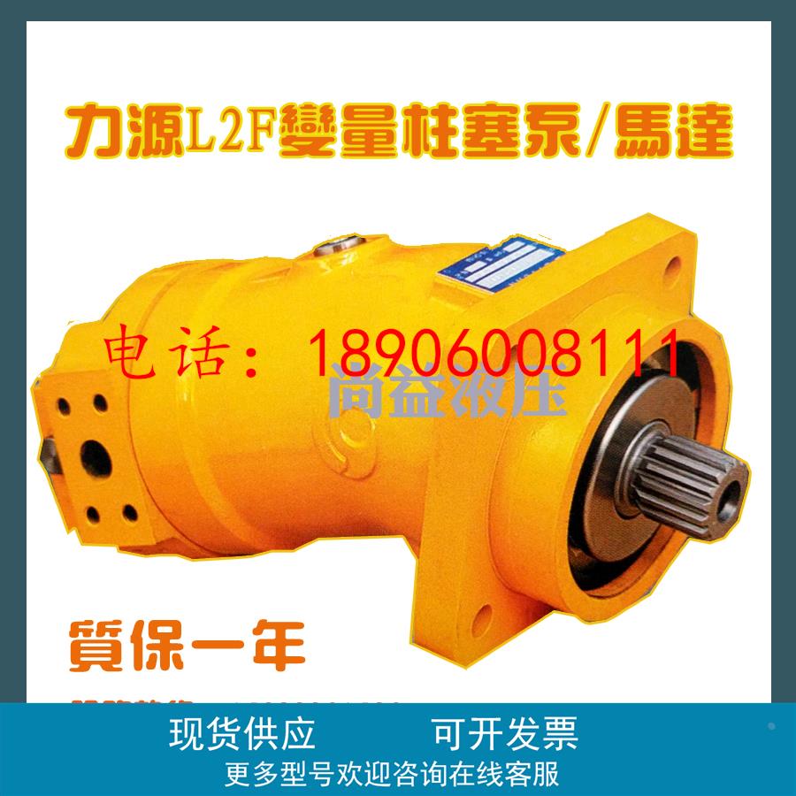 中航力源轴向柱塞泵 LY-L2F10R/L/W1234P/Z/S123 L2FM液压马达