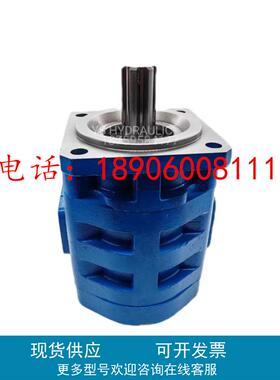 液压齿轮泵CBG3160 CBGJ3125 3140 3180 3200油泵JHP3100 CBY2016