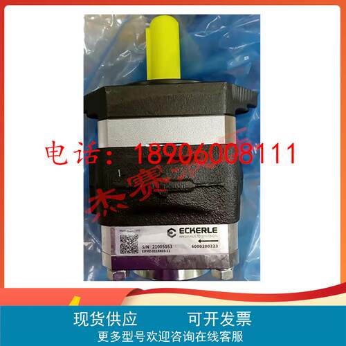ECKERLE艾可勒EIPC5-080RA23-10注塑机伺服齿轮泵EIPC3.5.6液压泵