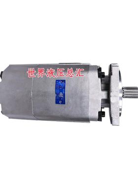 合肥长源双联齿轮泵 CBKP100/100 80/63 50/40 32 25/20-BFP/BFHL