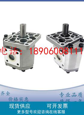 液压油泵CBT-E520 525 532 540 550 563 580-BFHL BFPR高压齿轮泵