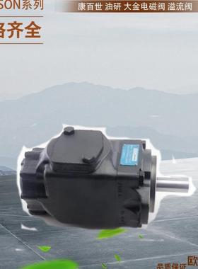 派克齿轮泵PGM511D0285AC1H2ND4D4B1B1G6 Parker液压油泵 齿轮泵