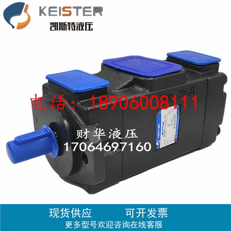 kaisite凯斯特PV2R11-19/19-F-R双联叶片泵PV2R12 R13 R23 R24 34