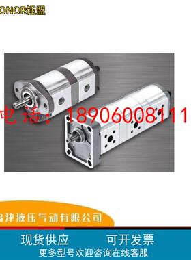 钰盟HONOR高压齿轮泵2GE1P07R 2GE1P26R 2GG1P09R 2GG1P33R