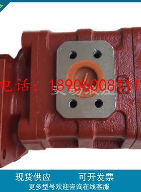 低速大扭矩 渔船专用 左旋泵CBDJ-2080 原装正品 质保一年