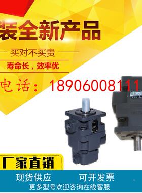 仙居永灵双联叶片泵YB1-100/25 YB1-80/16 YB1-125/25YB163/16