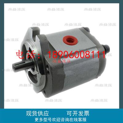 台湾KOMPASS康百世齿轮泵P216RP P219RP P222R P225RP P233RP01DT