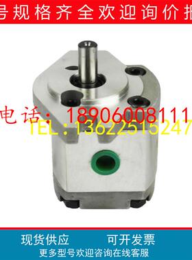 钰盟HONOR1AG1P0SR液压1AG1P01R原装1AG1P02R高压齿轮泵1AG1P27R