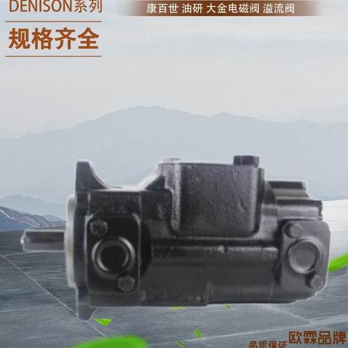 丹尼逊DENISON定量泵 T6E 042/045(1R00 1R01 1R02 1R03)A1/B1/C1