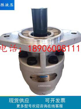 阜新品胜液压齿轮泵CBF-E10/16/25/32/40/50/63/71/90/140ALP AFP