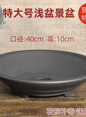 宜兴紫砂花盆假山盆黄杨老桩簕竹盆菖蒲粗陶特大多肉盆景蕨类浅盆