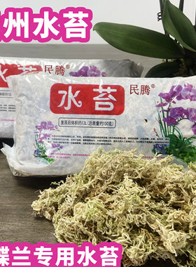 多肉石斛蝴蝶兰专用水苔
