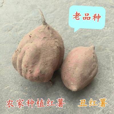 江苏农家自种老品种红薯