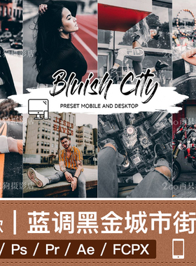 lightroom手机版LR预设pr视频lut青橙色电影人像ins调色ps滤镜app