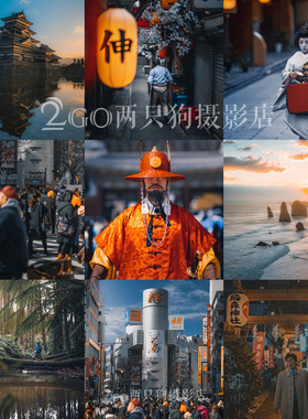 LR预设lightroom预设lut调色ins手机vn日本旅拍街拍PS人像PR滤镜