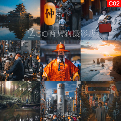 LR预设lightroom预设lut调色ins手机vn日本旅拍街拍PS人像PR滤镜