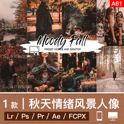 lightroom手机LR预设pr视频lut秋天情绪风景人像ins调色ps滤镜app