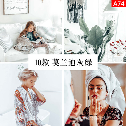 lightroom手机版LR预设pr视频lut莫兰迪灰绿人像ins调色ps滤镜app