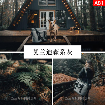 lightroom手机LR预设电脑PS滤镜人像莫兰迪森系灰vn视频pr调色lut