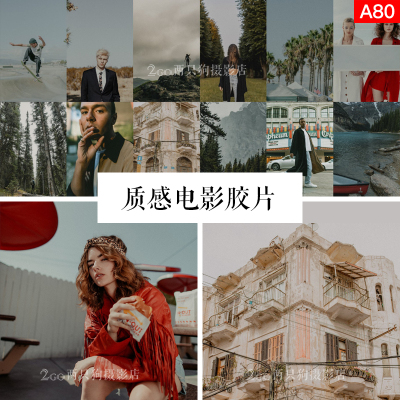 lightroom手机LR预设电脑PS滤镜人像复古电影胶片vn视频pr调色lut