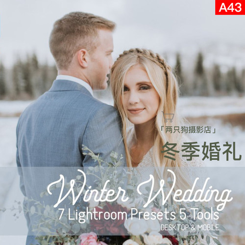Lightroom手机版LR预设冬季婚礼人像调色APP博主ins风胶片ps滤镜