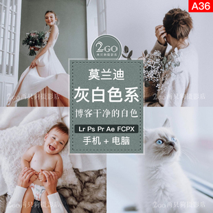 lightroom手机版APP滤镜LR预设PS莫兰迪灰白ins色调FCPX PR LUT