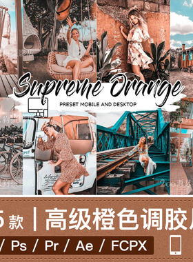 lightroom手机版LR预设pr视频lut橙色调胶片人像ins调色ps滤镜app