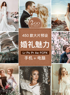 lightroom电脑版LR预设pr视频魅力婚纱婚礼胶片人像ins调色ps滤镜