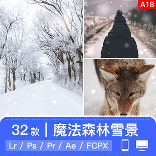 lightroom手机版冬季雪景人像LR预设笔刷APP滤镜PR调色日系调色