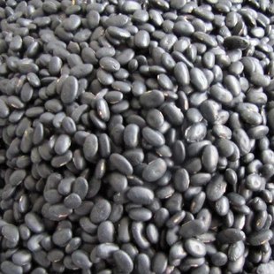 /返璞归真/山里农家zizhogn/小黑豆500克