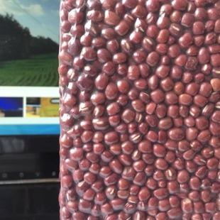 /返璞归真/山西农家特产小红豆500克 红小豆