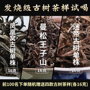普洱生曼松王子山vs迷帝单株vs凤凰窝单株pk茶样试喝48g2025头春