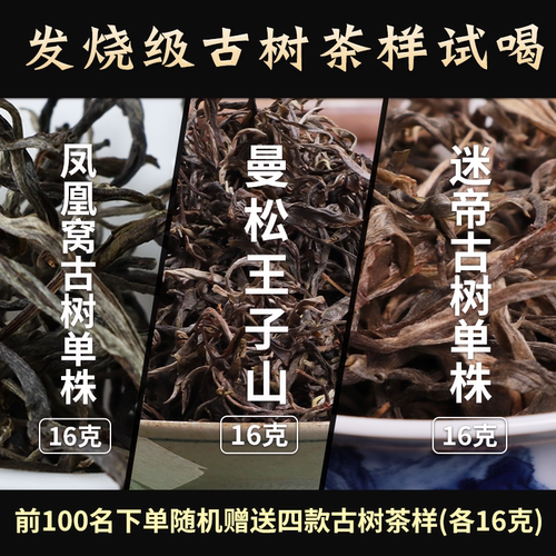 普洱生曼松王子山vs迷帝单株