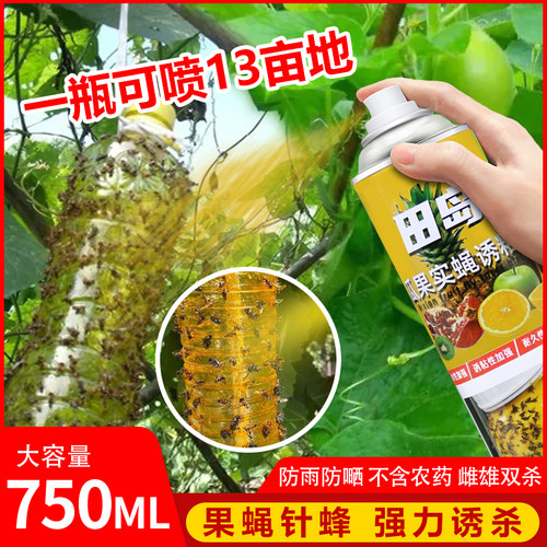 果蝇杀虫剂群蝇汇瓜果实蝇诱粘剂除灭杀天然诱粘剂专用针蜂粘虫板