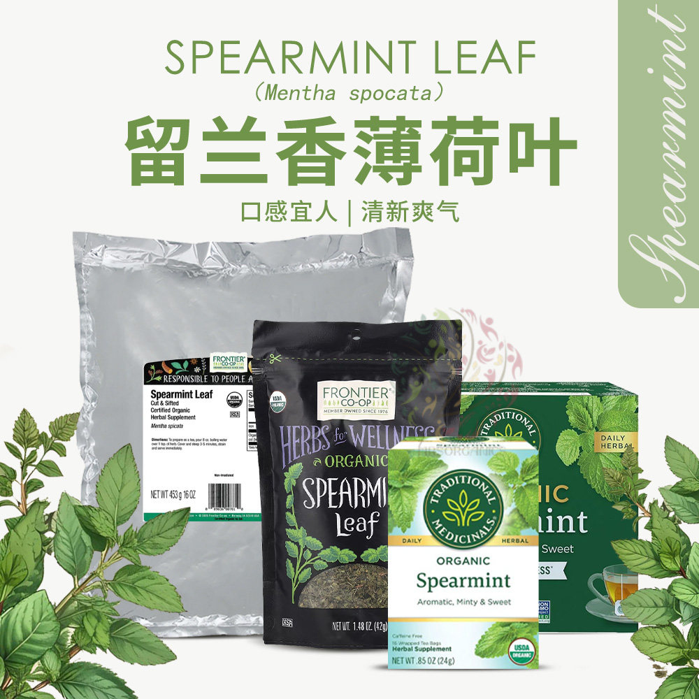 Traditional美国认证TM留兰香薄荷叶茶Frontier无咖啡因Spearmint