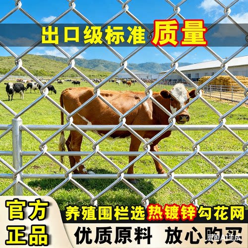 养牛羊专用网围栏网养殖羊圈网圈