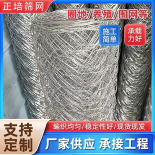 拧花网六角网编织装饰钢丝网隔离栏铁丝网护栏网养殖牛羊猪围网