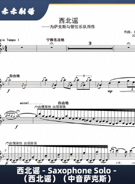 西北谣  Saxophone Solo 萨克斯古典乐曲（中音萨克斯）