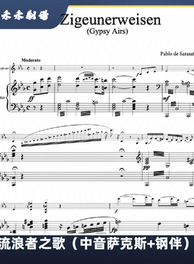 流浪者之歌  萨克斯古典乐曲（中音萨克斯+钢琴伴奏）