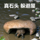 原生态爬宠躲避屋岩石晒台守宫蛇乌龟躲避窝洞蜥蜴躲藏水族箱造景