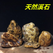 原生态爬宠箱鱼缸布景 饰真石假山 沉底石 水族箱装 天然造景石头