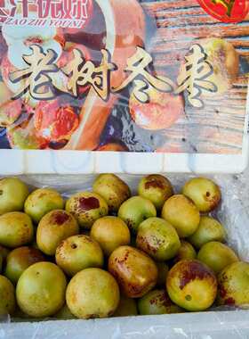 陕西大荔老树冬枣脆甜超甜顺丰快递包邮到家