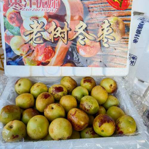 陕西大荔老树冬枣脆甜超甜顺丰快递包邮到家