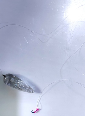 天外仙魅魂1号白条专用钓组，透明浮水助投版水面系泳姿好冬钓