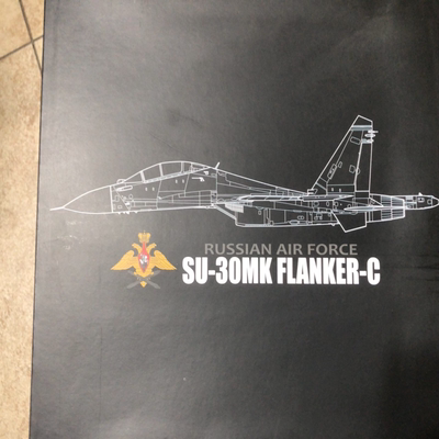 jc wings 苏30mk jc出的502号机 展示回盒 二手模型出不退 有意私