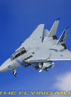 Gulliver WA22070 F-14 VF-143 呕吐犬 1/200 关联 Herpa Hogan J