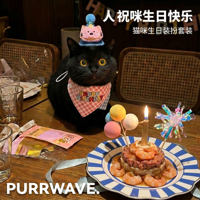 猫狗生日口水巾帽子蜡烛套装